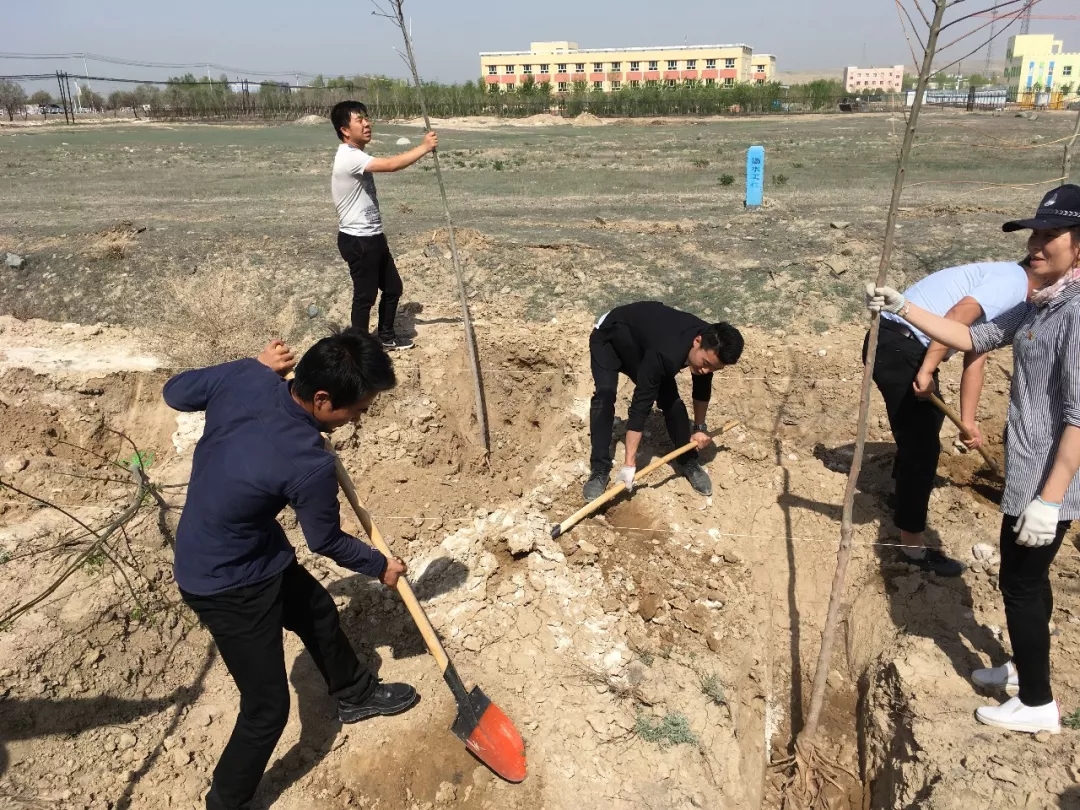 5d0348466c0a1.jpg 20190614_150745_022.jpg