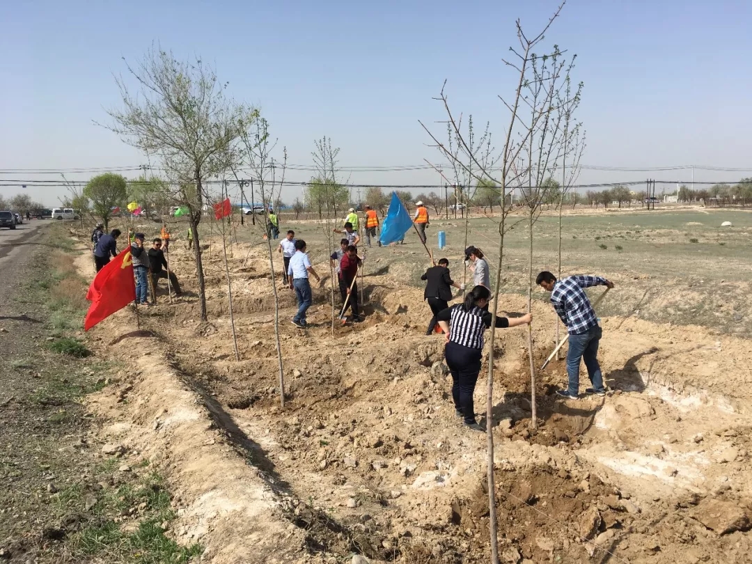 5d0348670f3dc.jpg 20190614_150745_023.jpg